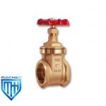 شیر فلکه کشویی سیم 70B ایتالیا PN20