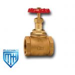شیر فلکه سوزنی سیم 75/200 ایتالیا مدل PN16
